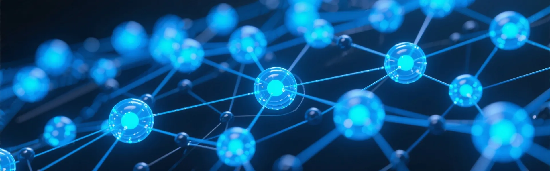 Data Network Background